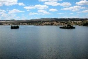 Pantano