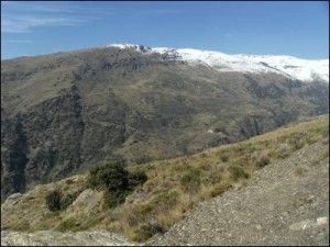 Encinar incendiado en Sierra Nevada como área de estudio