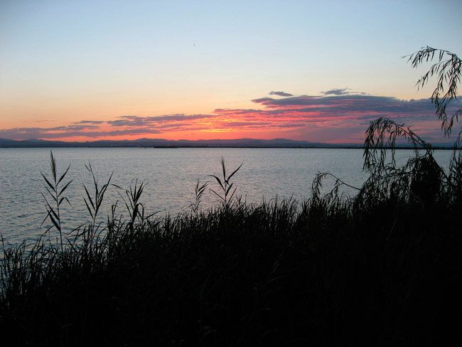 Albufera de València Albufera de València
