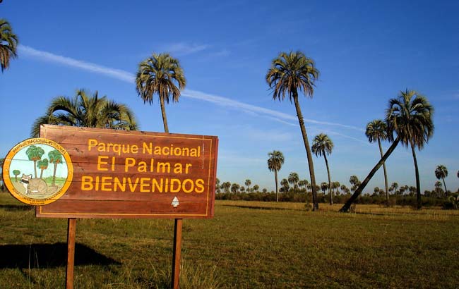 Parque Nacional de El Palmar en Argentina