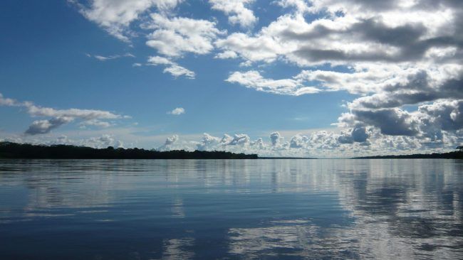 Las represas hidroeléctricas amenazan a la Amazonia